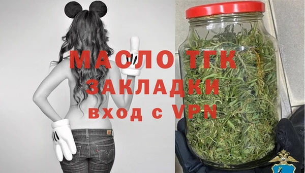 гидра Вяземский