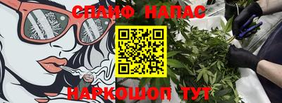 индика Ипатово
