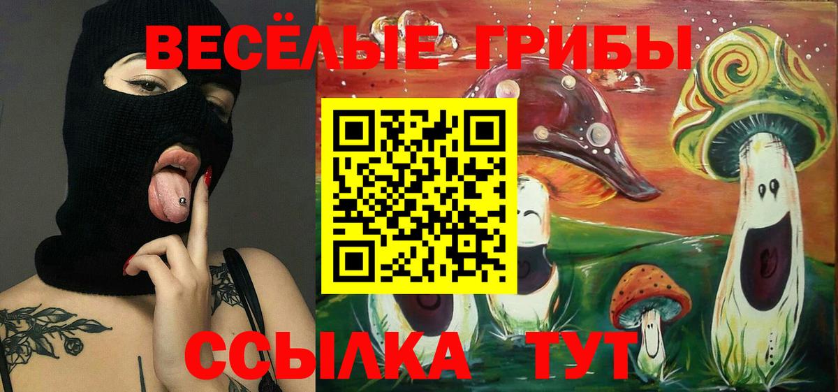 Псилоцибиновые грибы GOLDEN TEACHER  где продают наркотики  Острогожск 