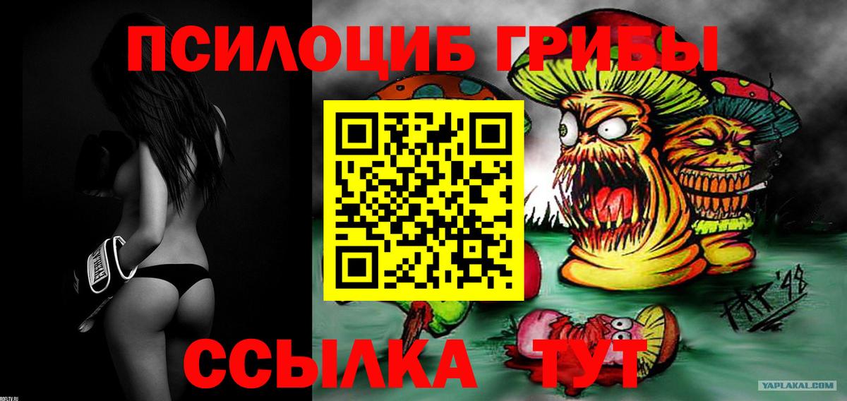 Псилоцибиновые грибы ЛСД  Вход с VPN  Псилоцибиновые грибы MAGIC MUSHROOMS  Острогожск 