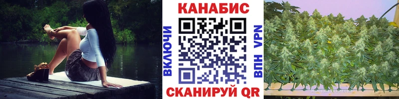 Бошки Шишки семена Острогожск